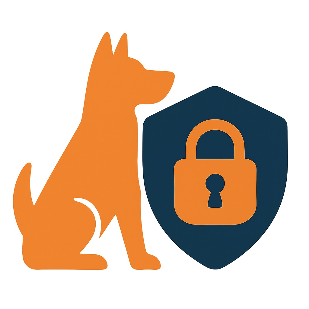 Illustration representing encrypted subscription connections